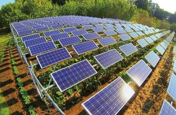 建設(shè)農(nóng)光互補光伏電站有什么好處？